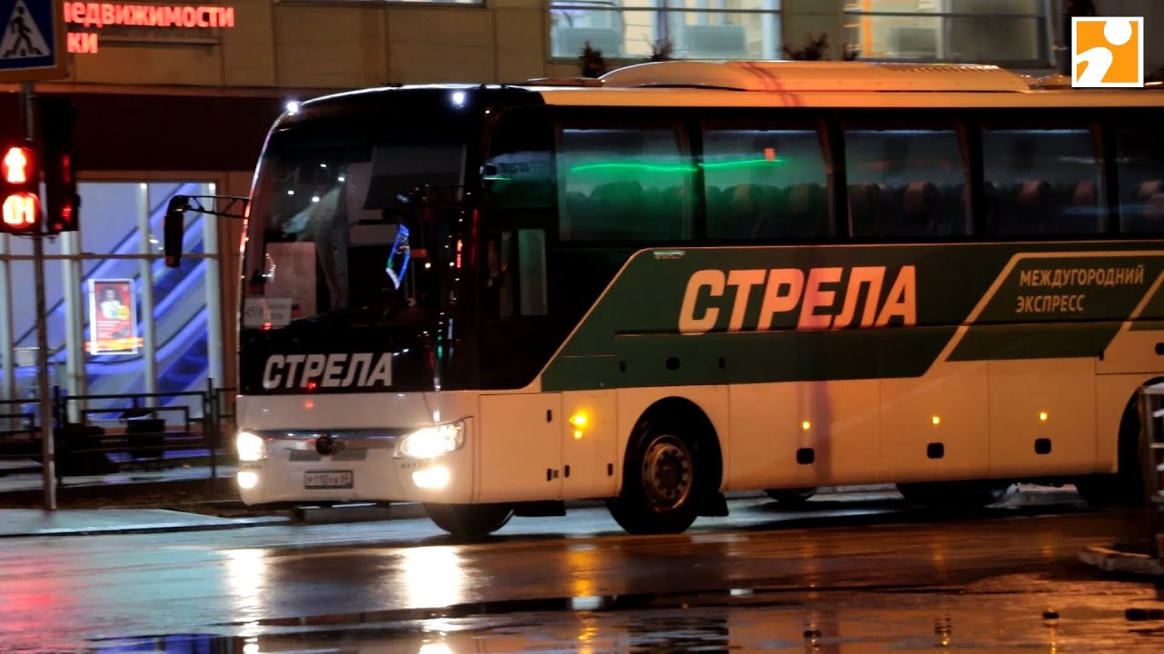 Из Твери в Москву запустили самые дешёвые и быстрые автобусы