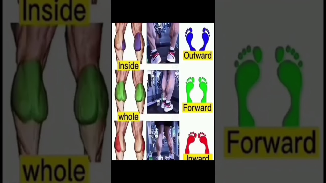 Exercice mollet musculation #short
