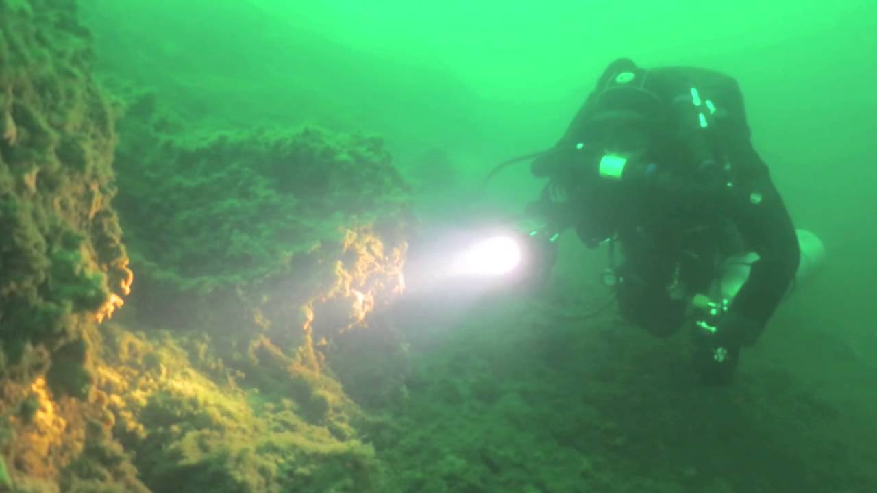 ssb immersione sub bolsena curso coregone