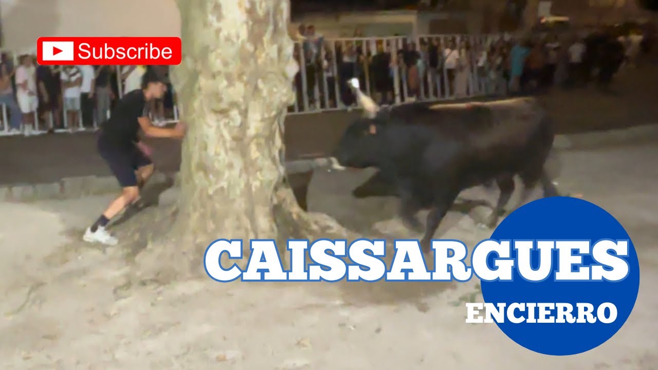Encierro ➡️ Caissargues 🇫🇷 06/06/25 Taureaux de la manade de L’ÉTRIER 🚨