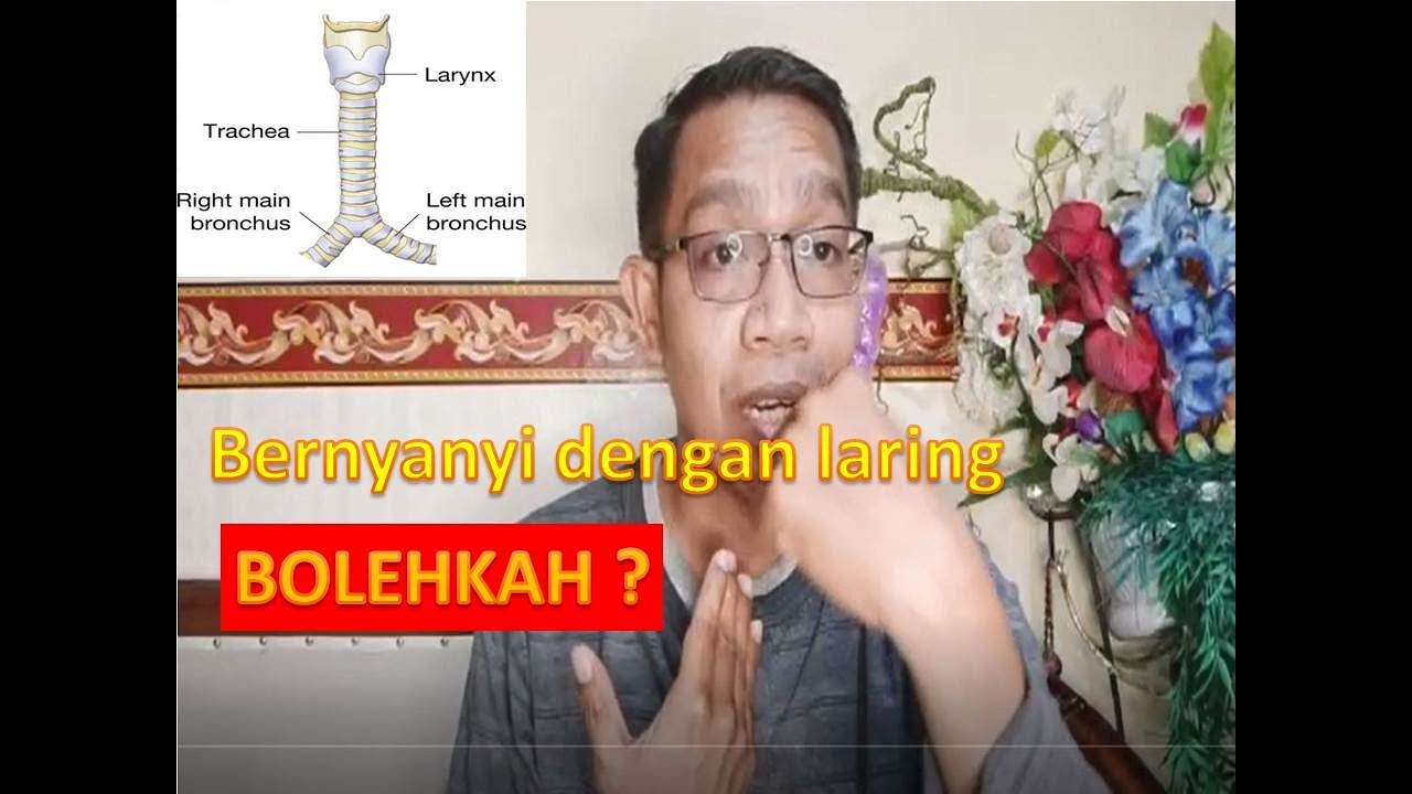 FUNGSI LARING (KOTAK SUARA)