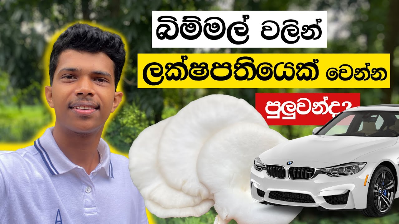 මම බිම්මල් වලින් ලක්ෂ ගණන් හොයන හැටි 💸🍄 | VLOG 28