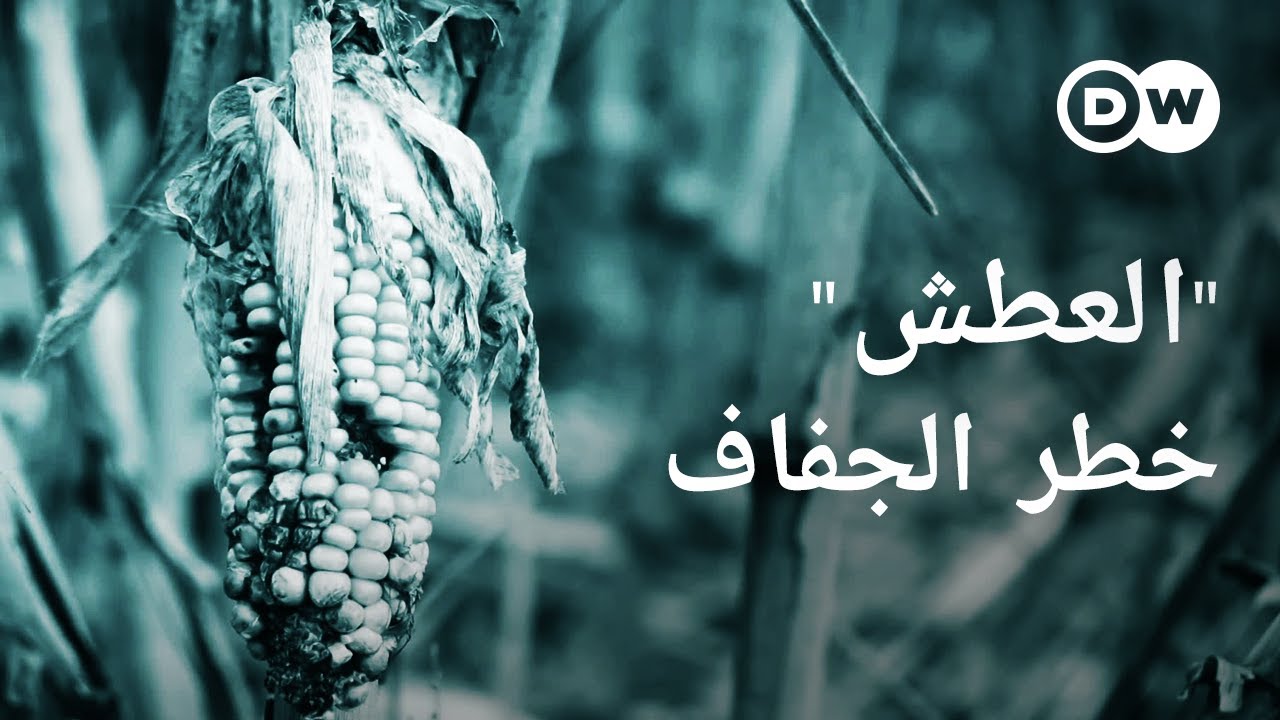 وثائقي | حروب المياه - النزاع على مصادر المياه العذبة (3/1) | وثائقية دي دبليو