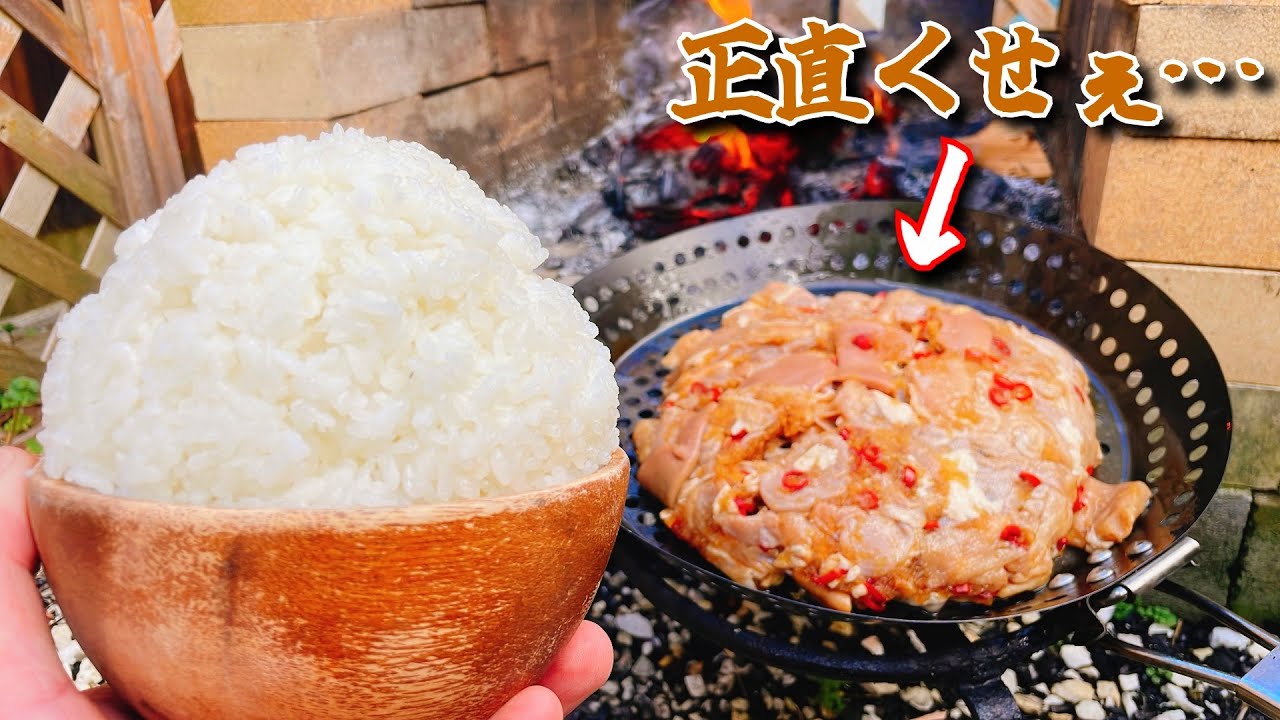 クサすぎる豚ホルモンにそれ以上のニンニク臭で挑む動画