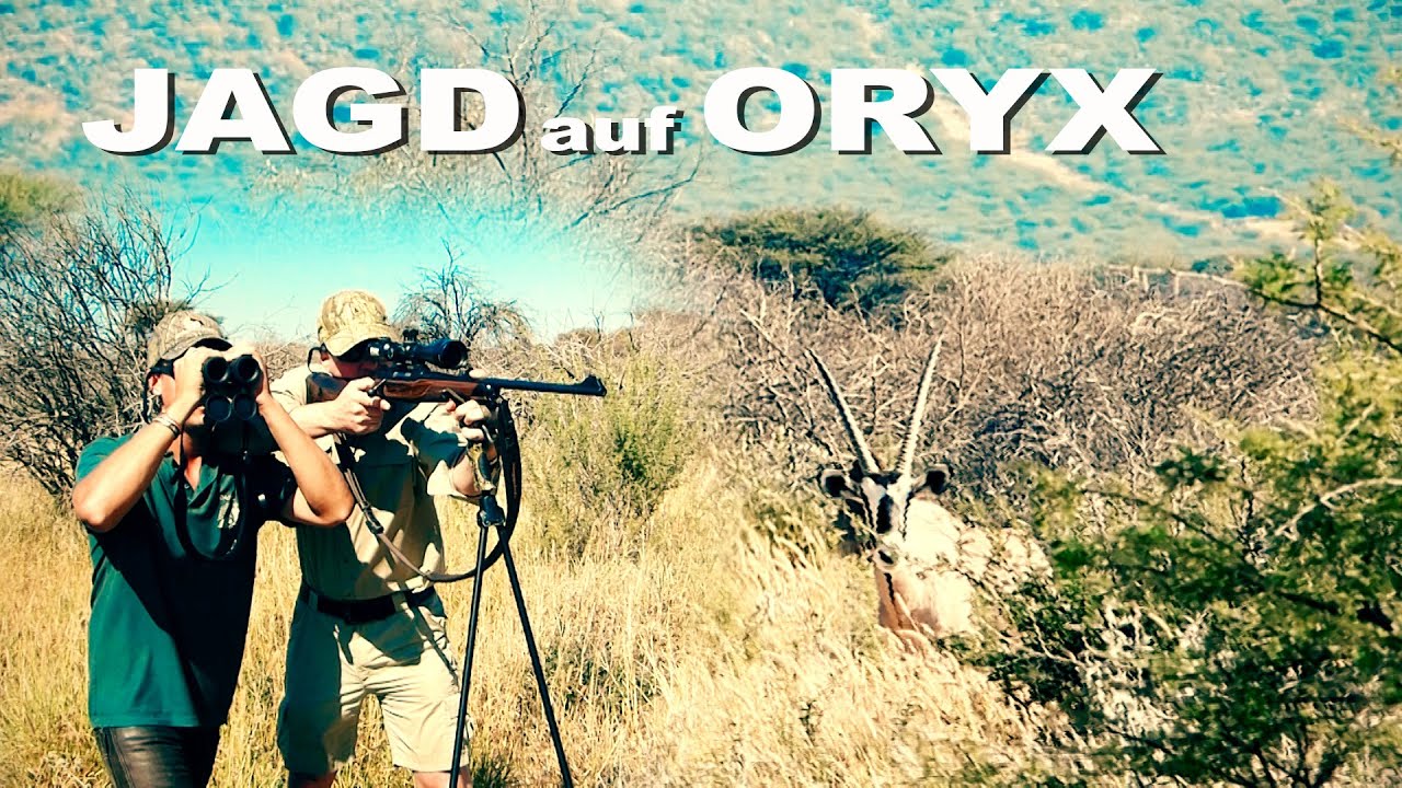 Oryx-Antilopen-Jagd / Stalking oryx - JAGD TOTAL