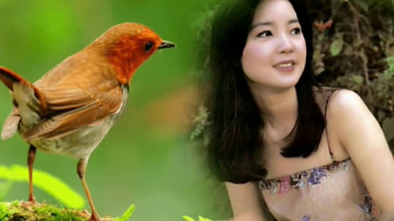 百鳥朝鳳   鄧麗君