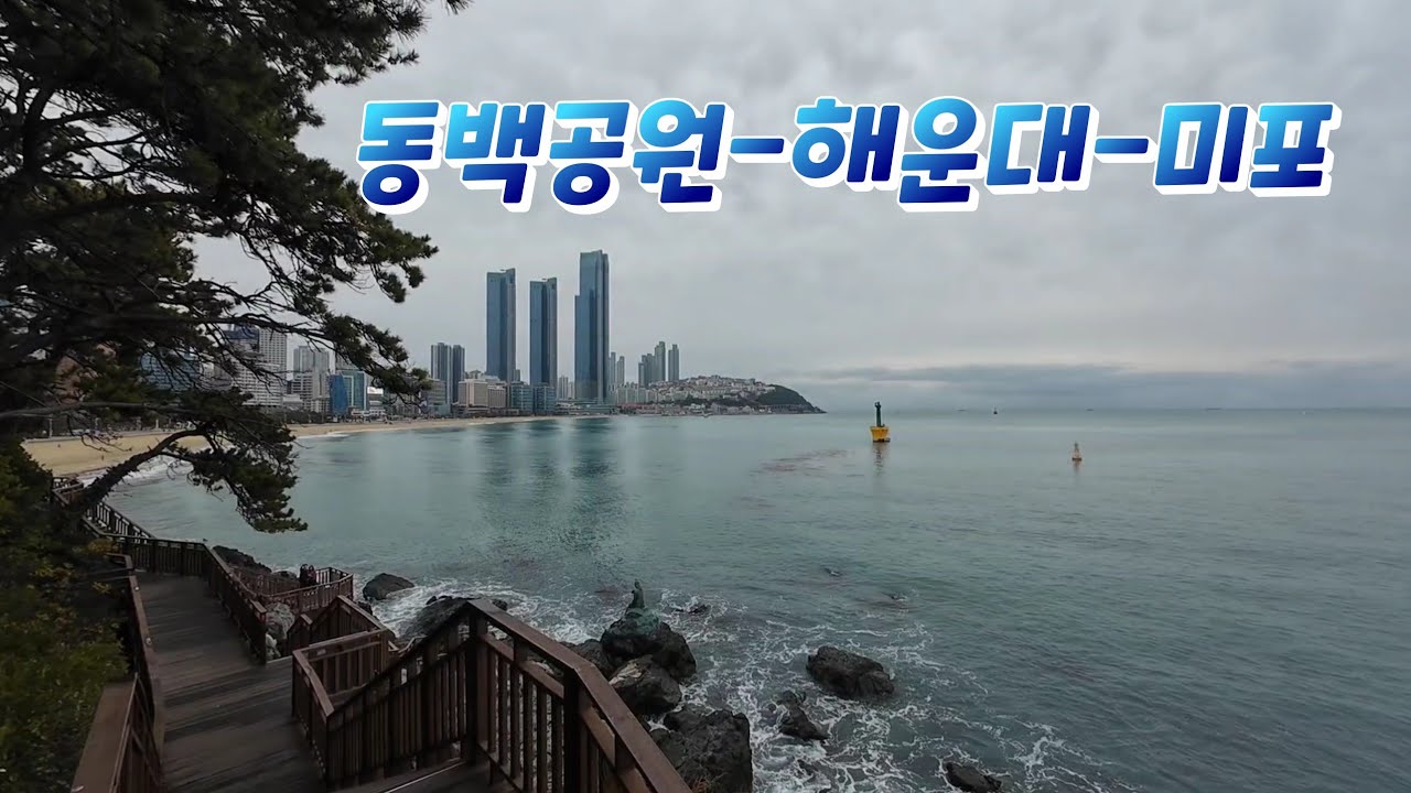 [2026봄 부산] 이런 곳에서 매일 뛰고 싶다..