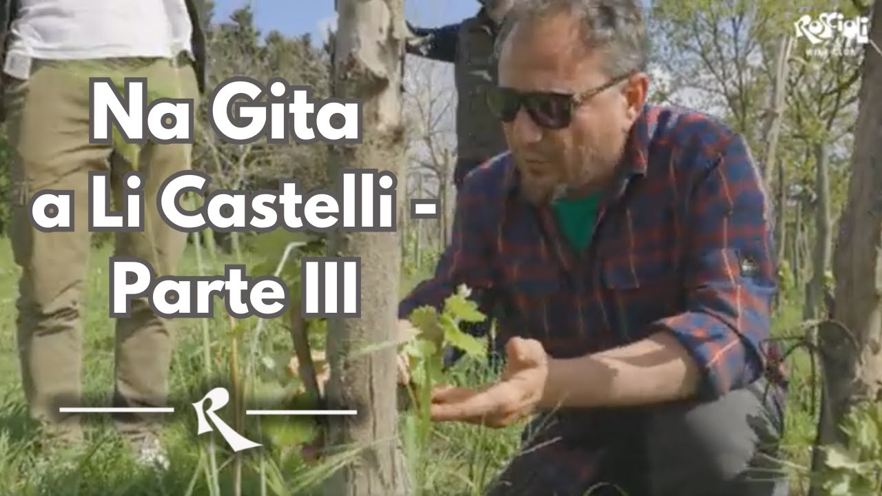 Alla scoperta del vino dei Castelli Romani - Parte III