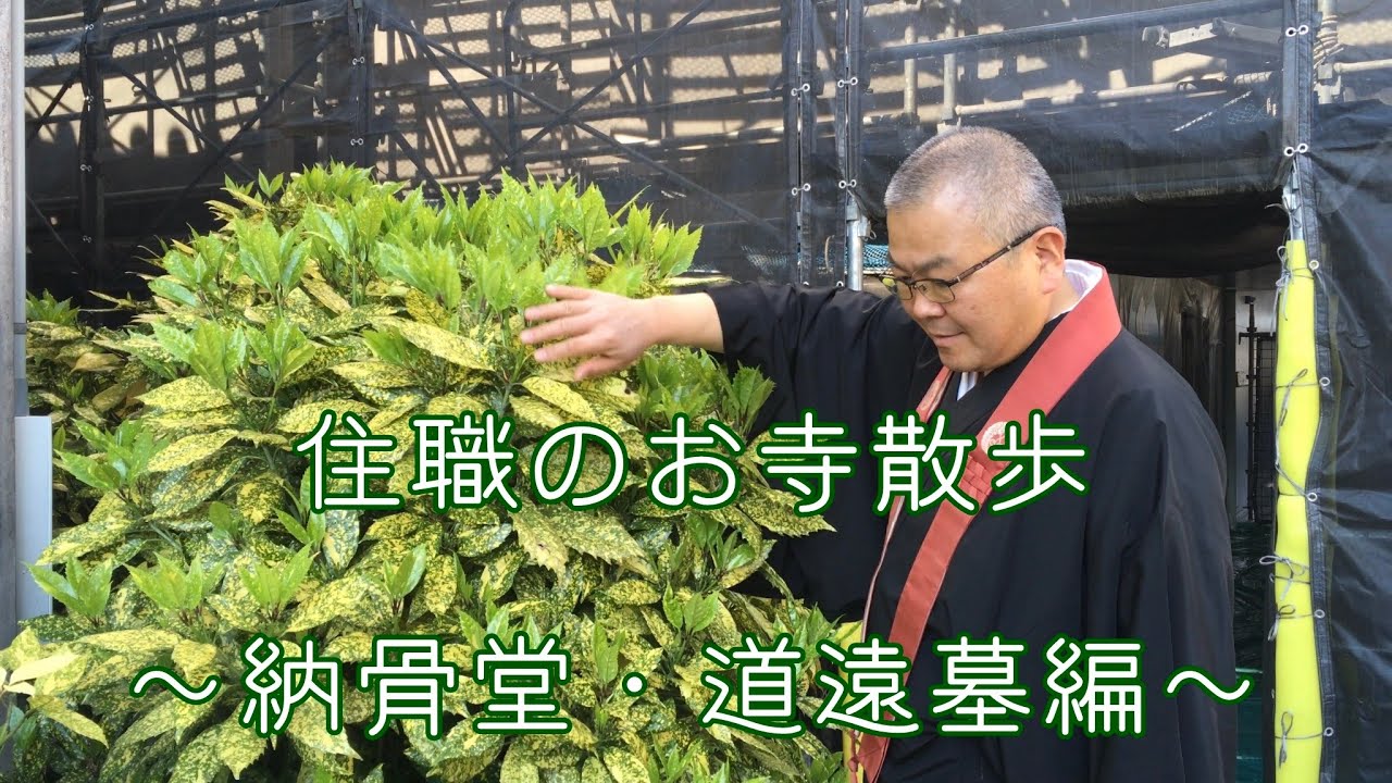 住職のお寺散歩➂　〜納骨堂・道遠墓編〜