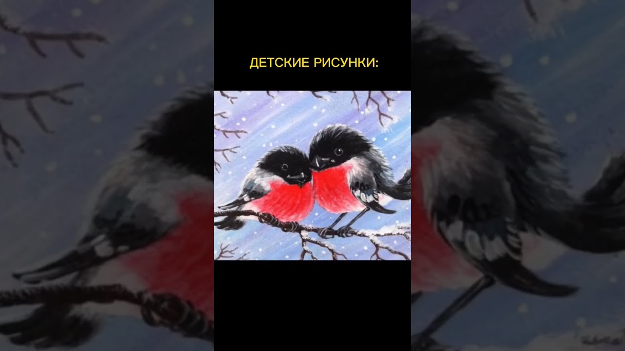 Снегири #birds #bird #птицы #bullfinch #finch #birdfeeders #орнитология #юмор #шутки #приколы