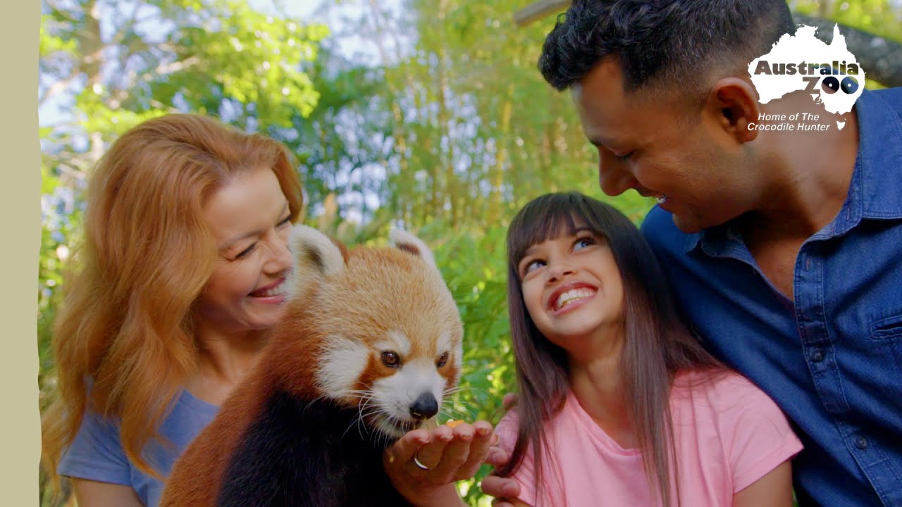 The magic of Australia Zoo