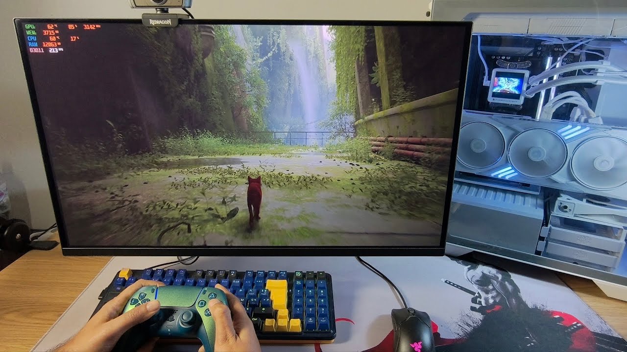 Stray| RTX 5070 TI 16GB | AORUS FO27Q2 QD OLED | POV