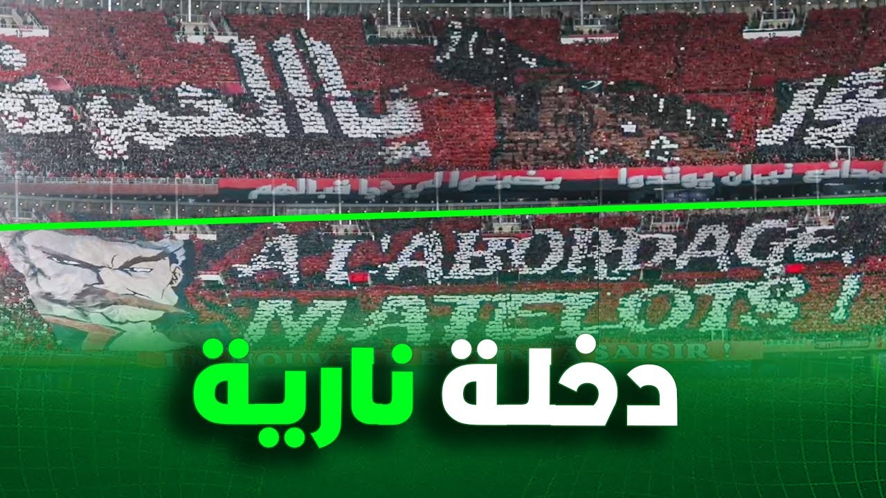 شاهد 