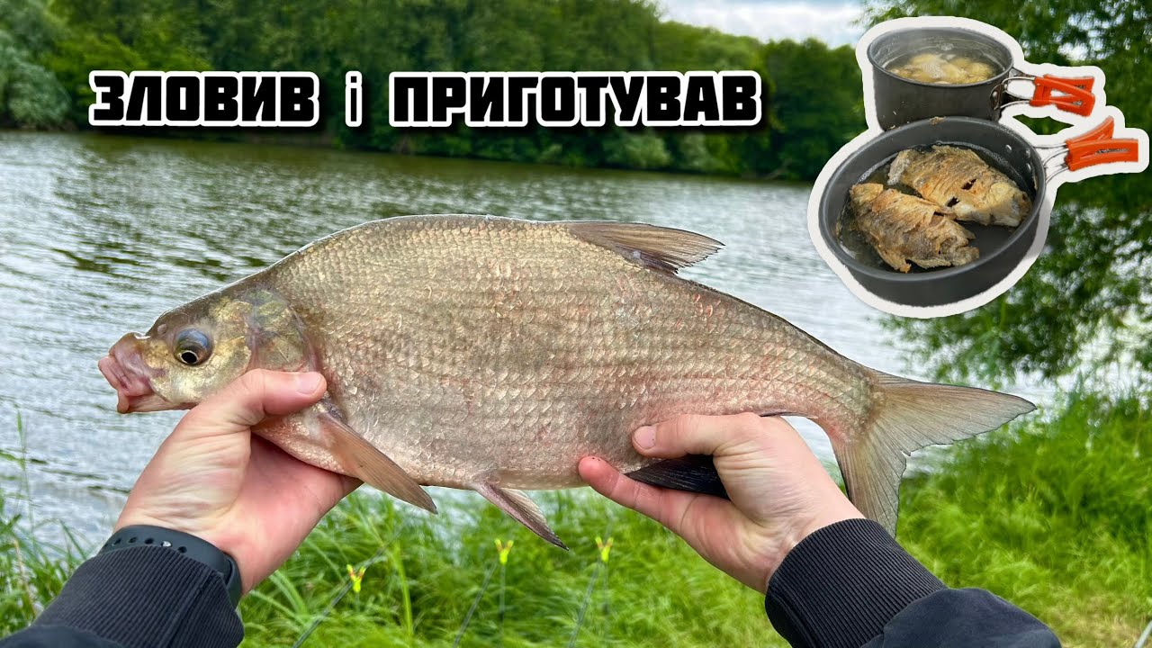 ЛЯЩ в садку, а КАРАСІ на сковорідці / Риболовля та відпочинок на річці Південний Буг #28