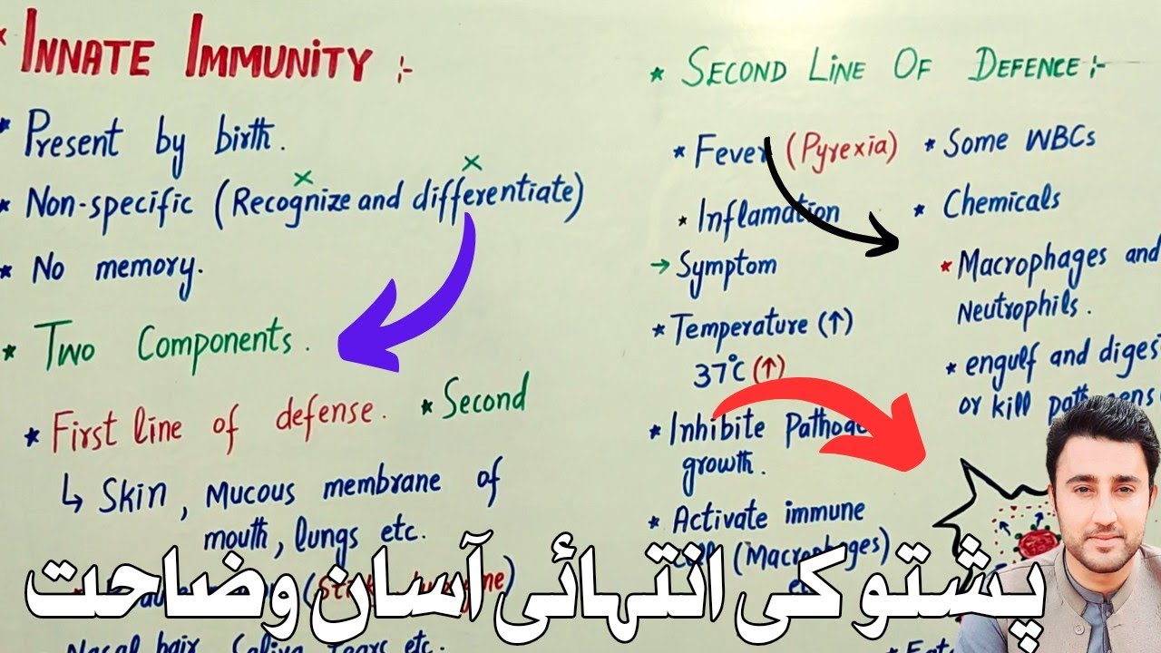 Innate immunity class 7 | Lec#2 | First line of defense | Second line of defense | in pashto