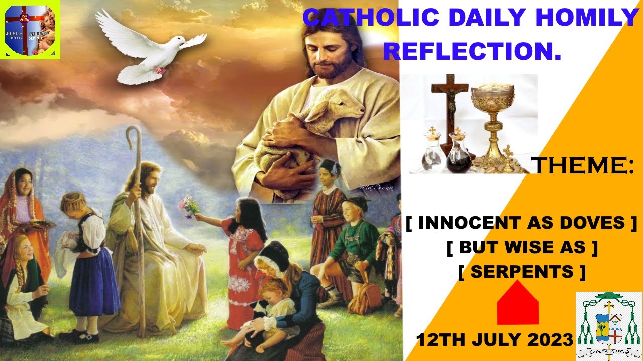 Catholic daily homily reflection for today [ Innocent as Doves but Wise as Serpents ]
