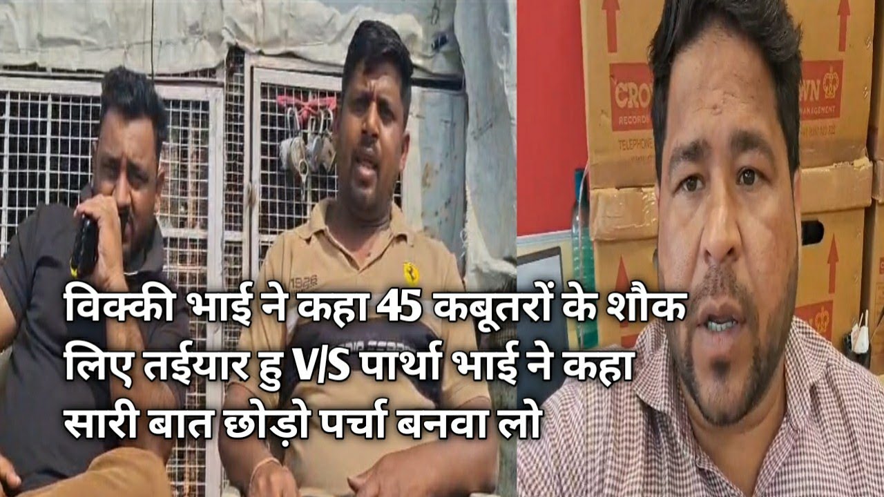 विक्की भाई ने कहा 45 कबूतर दौड़ने के लिए तईयार हु VS पार्था भाई ने कहा सारी बातें छोड़ो पर्चा बनवालो।