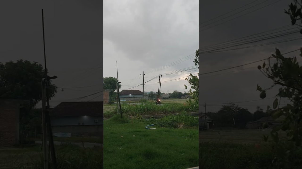 Sawmill jatim sedang live sekarang !!