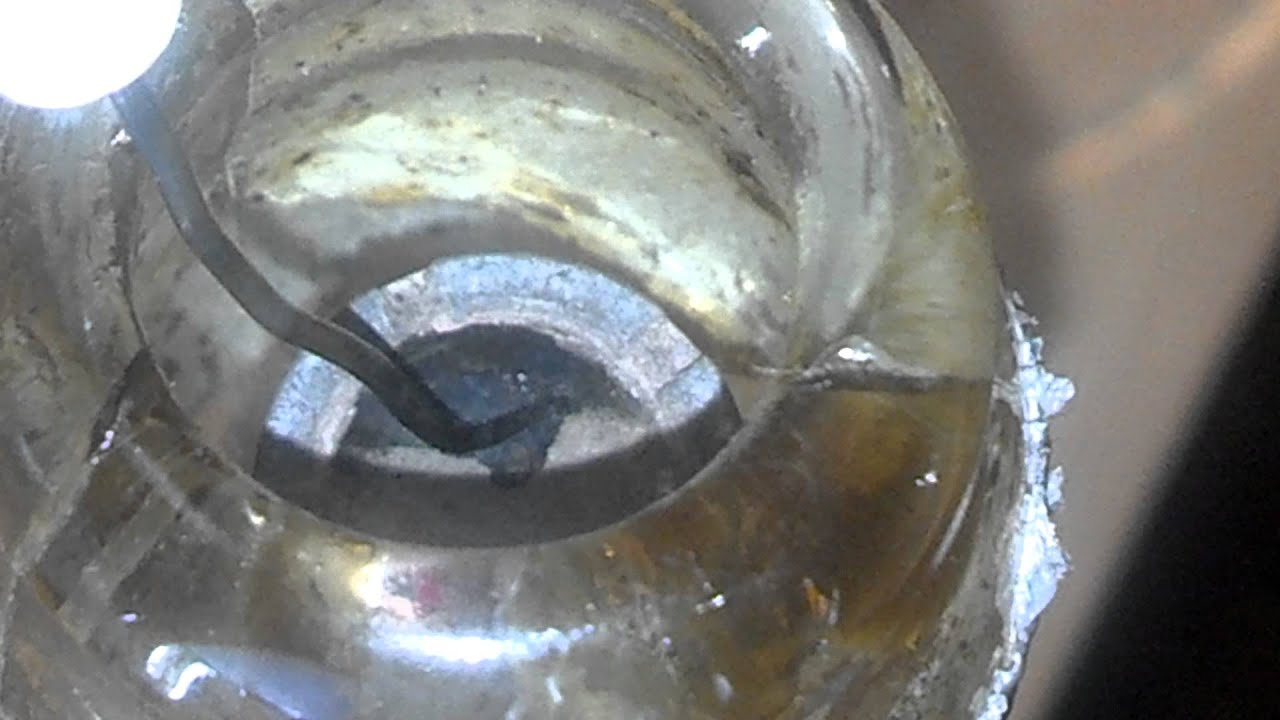 Close up dab