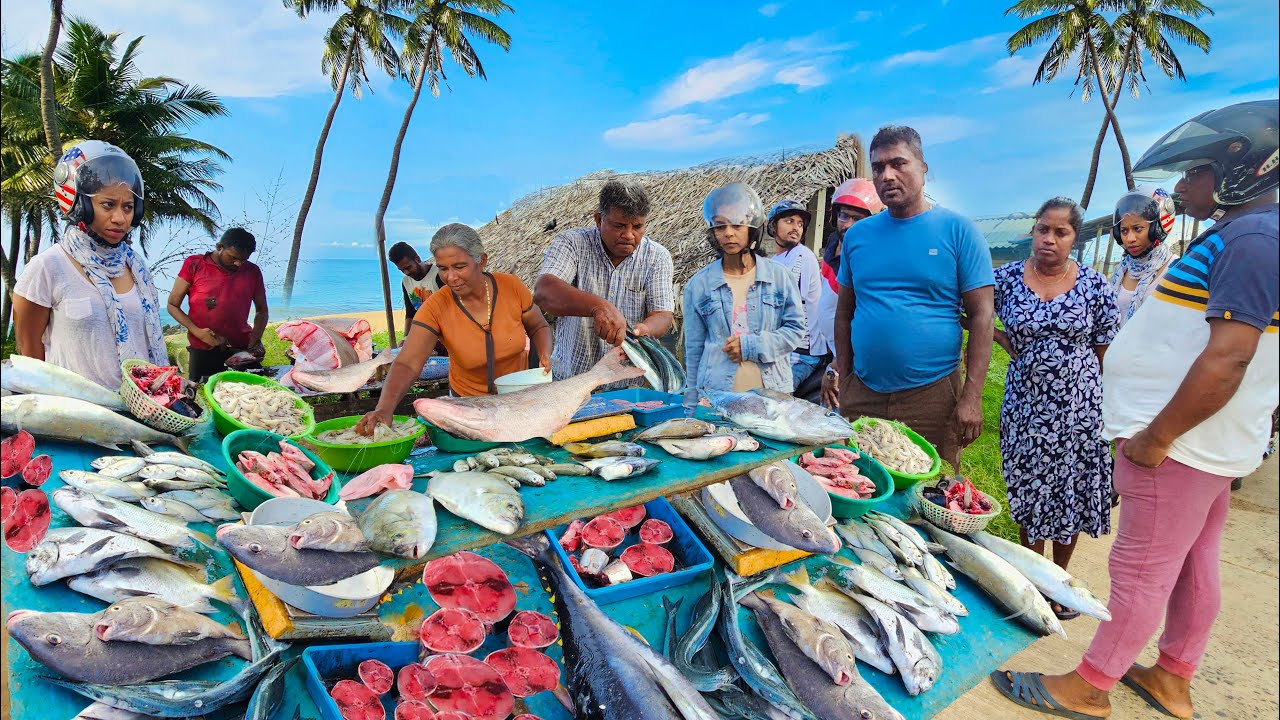 Astonishing!! Picturesque The Village's Best Street Fishmarket In Sri Lanka