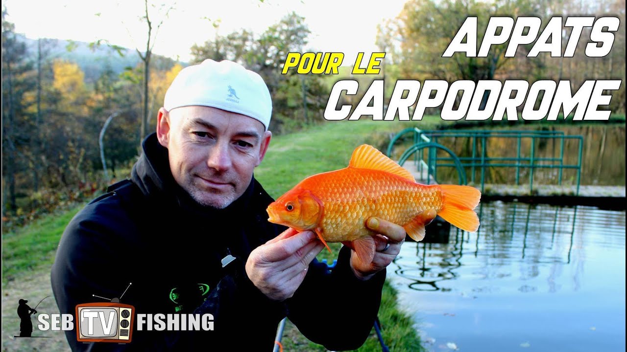 PREPARER ses APPATS pour le CARPODROME