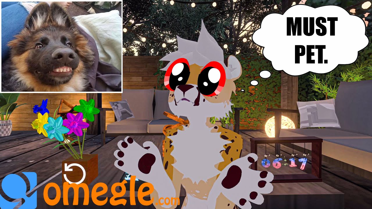Found The Cutest Puppies On Omegle! (VRchat)