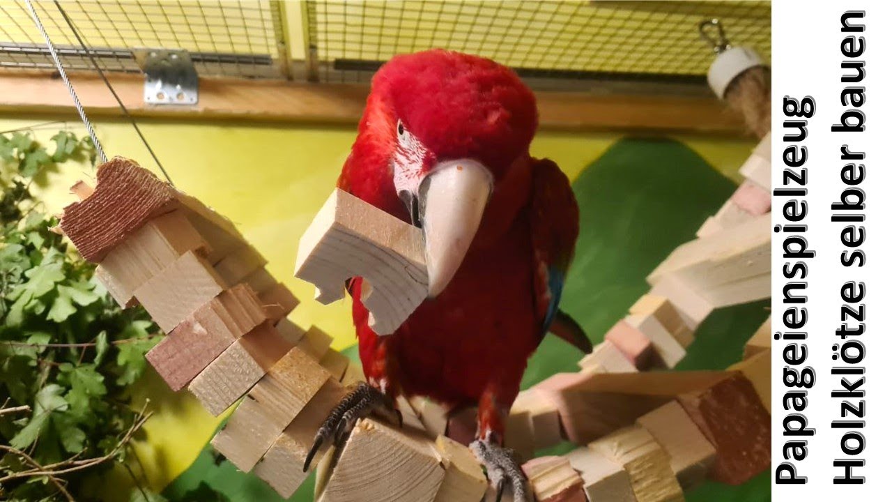 Papageienspielzeug selber bauen - Holzklötze