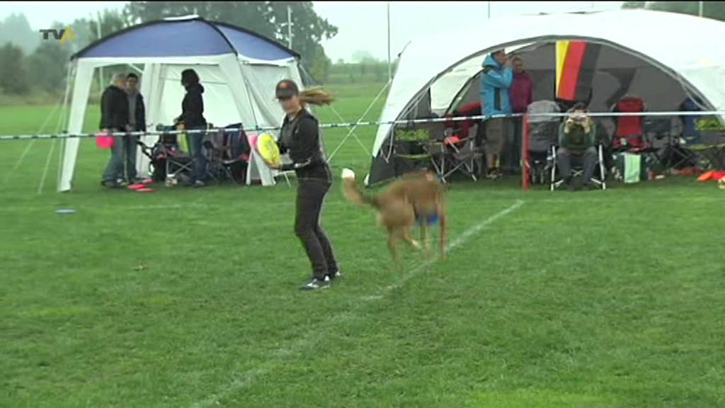 Europas Beste: internationales Kräftemessen beim Hundefrisbee in Pforzen