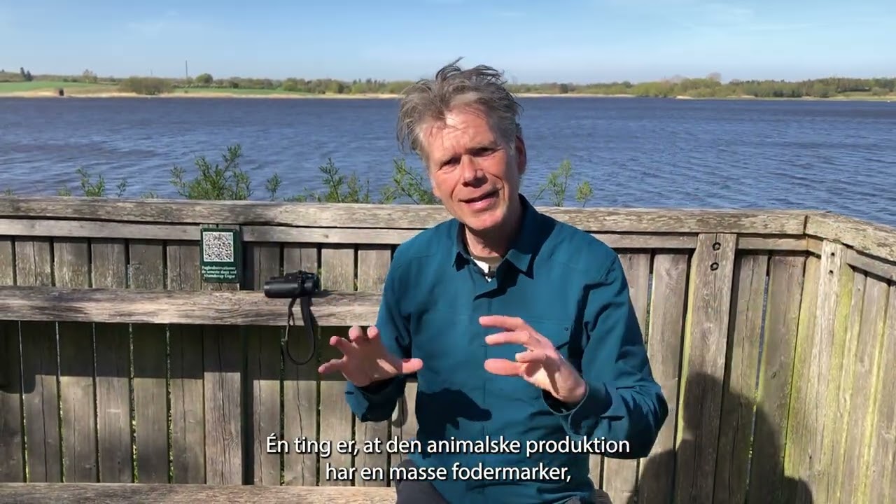 Udvaskning af kvælstof fra landbruget og overvintrende gæs ødelægger vandmiljøet i vores søer