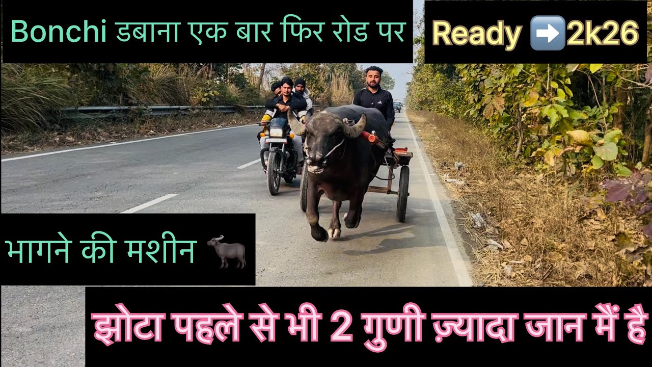 Bonchi भाई डबाना वाला झोटा एक बार फिर तैयार है महासंग्राम 2026 के लिए 🚩