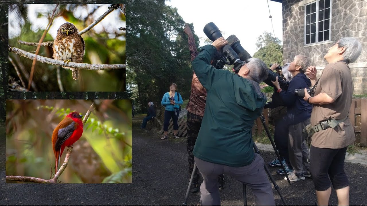 MNS PhotoGroup - Fraser's Hill Photographic Trip 2021