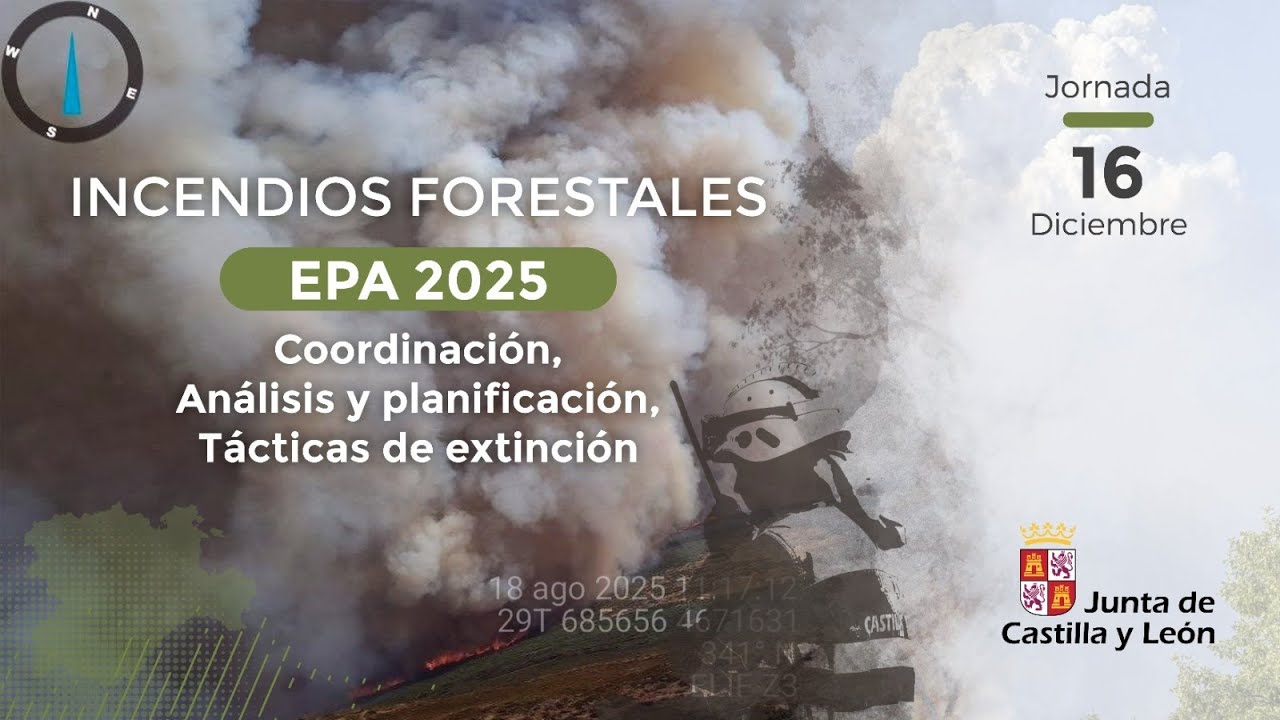 Mesa redonda: Análisis y planificación