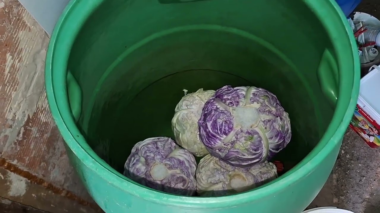Кисело зеле