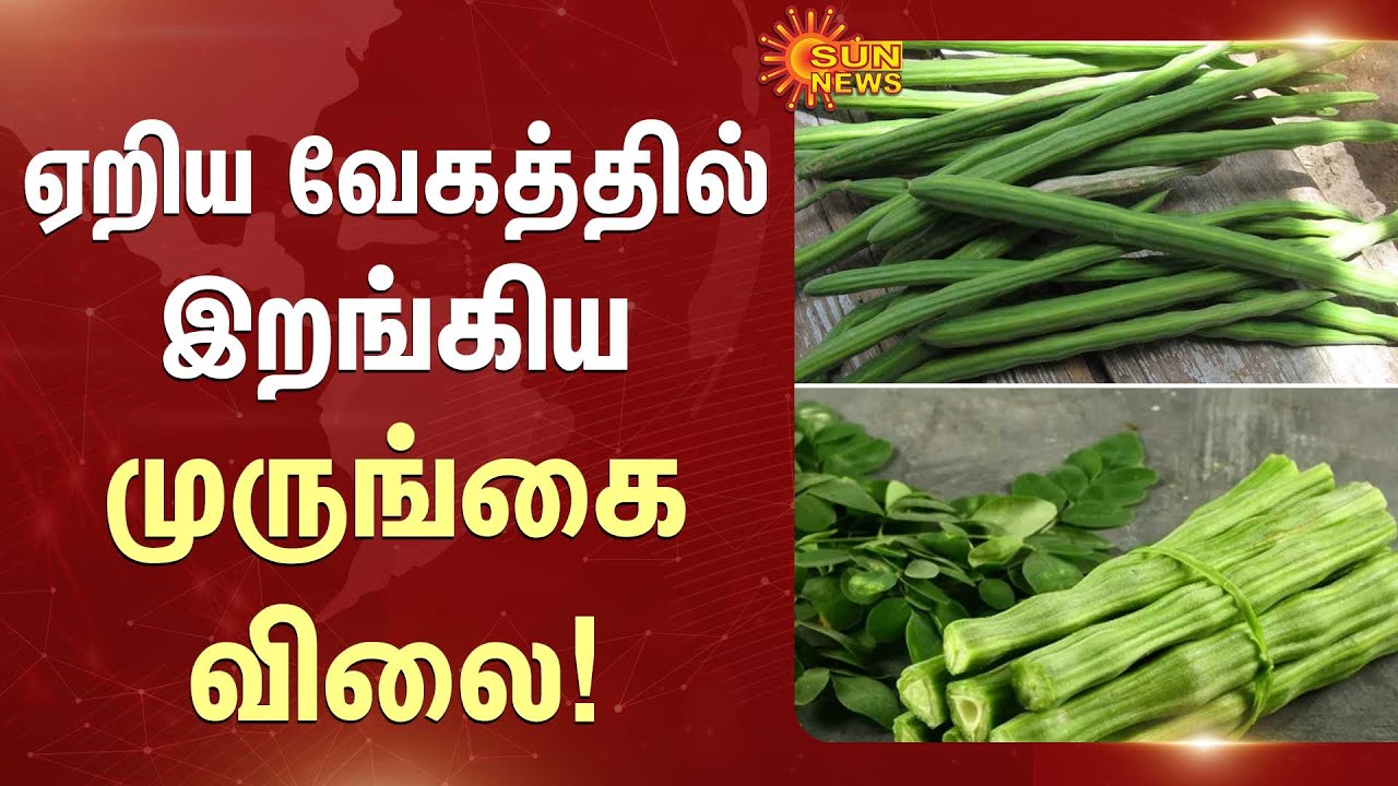 DrumStick | Price | Sudden Fall | Season Over | People Happy | Sun News