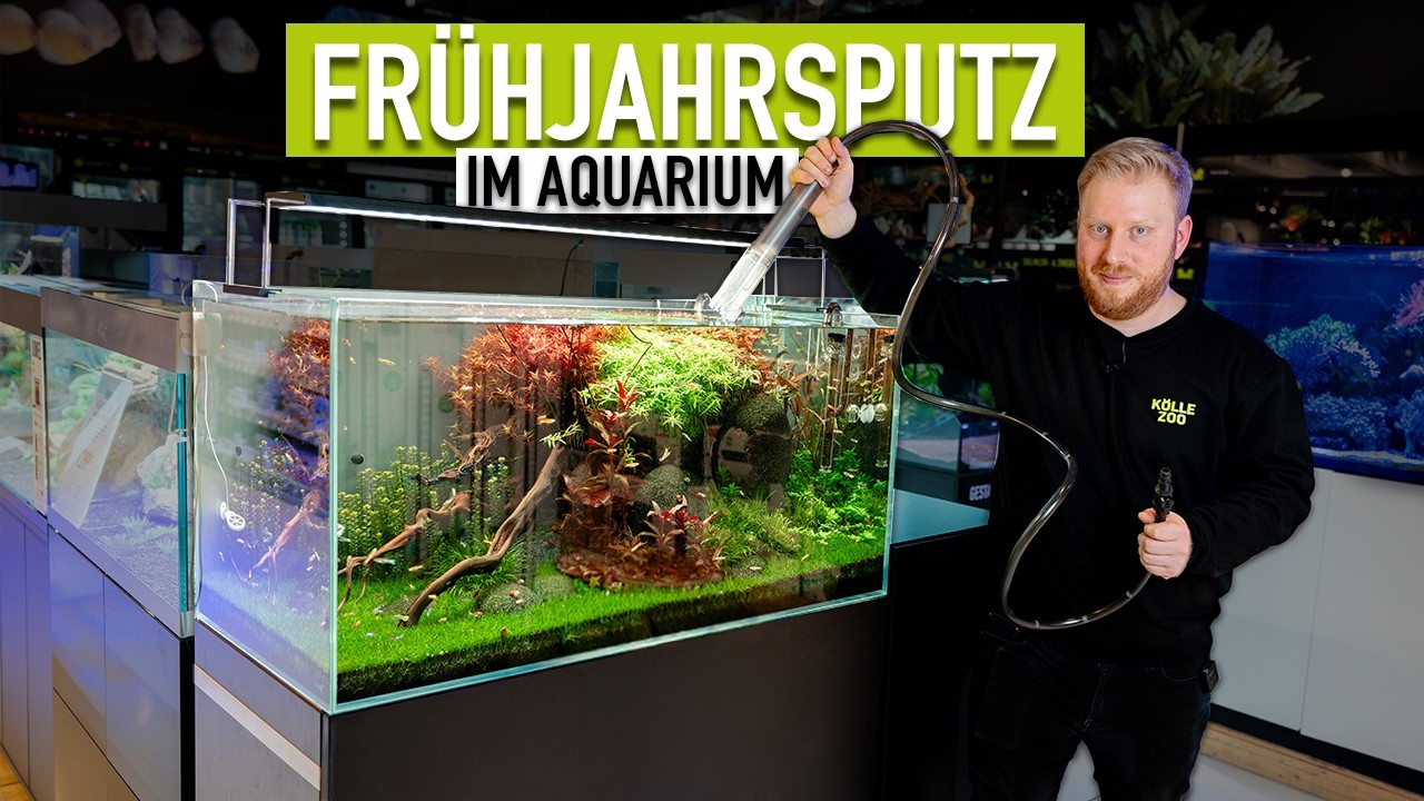 Frühjahrsputz für dein AQUARIUM?! Filterreinigung & Co - TUTORIAL! | KÖLLE ZOO