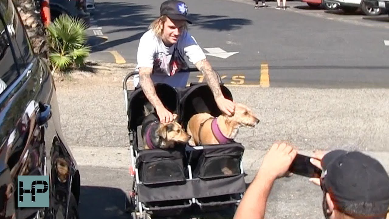 Justin Bieber Being Super Sweet with Fans, Children & Dogs