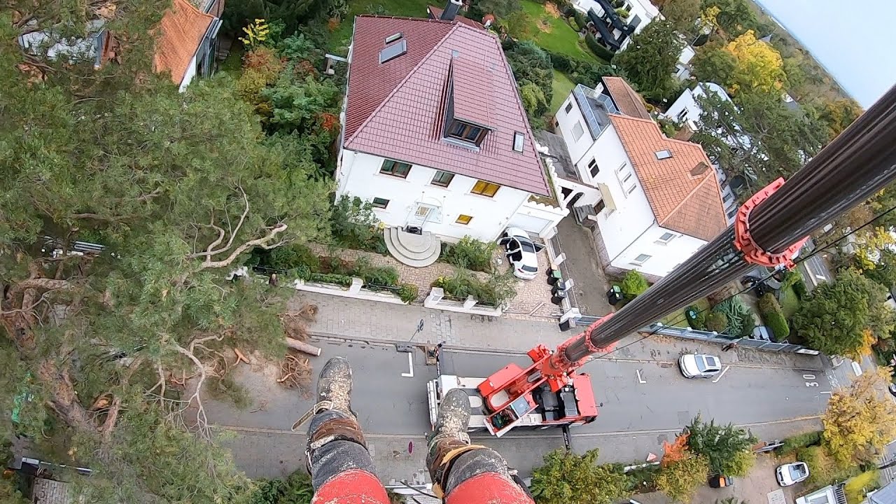 Hoch hinaus! Kranfällung in 2 Hüben