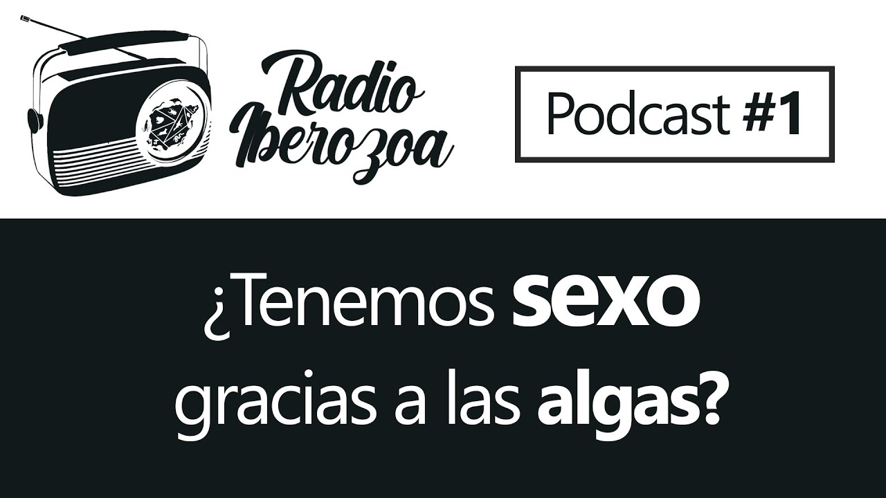 🦠🌿Desmintiendo MITOS y curiosidades de las ALGAS | Radio Iberozoa #1