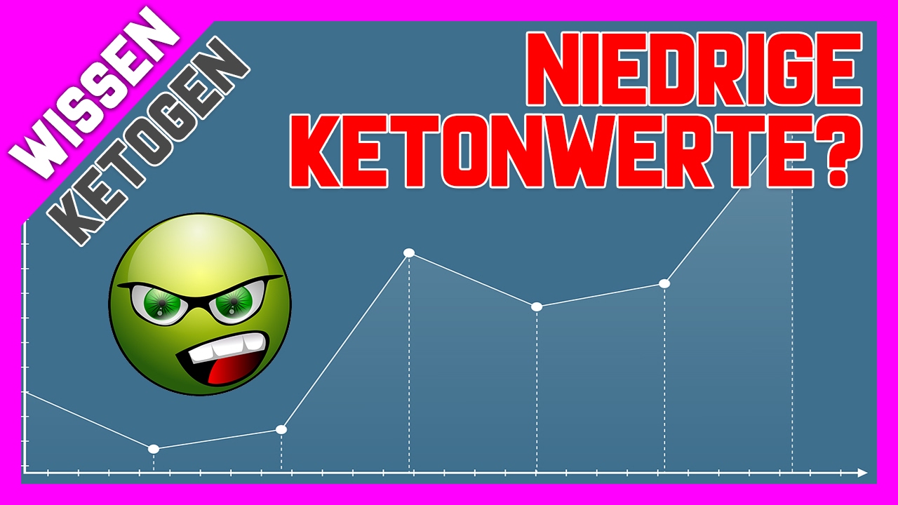 Mein Marathon in Ketose! Niedrige Ketonwerte im Urin? Alkoholmessgerät zeigt nichts an