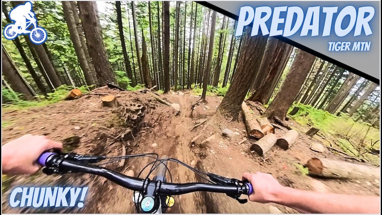 This double black trail got in my head when I was a new rider (predator tiger mountain)