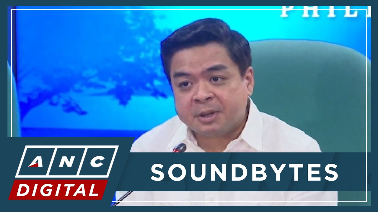 Ridon on rumors of VP resignation: Why resign? Papunta pa lang sa exciting part | ANC