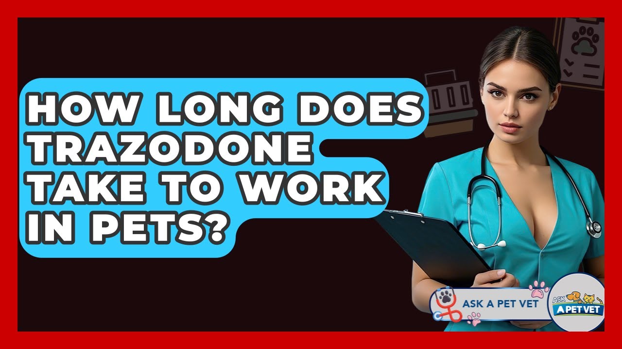 How Long Does Trazodone Take To Work In Pets? - Ask A Pet Vet