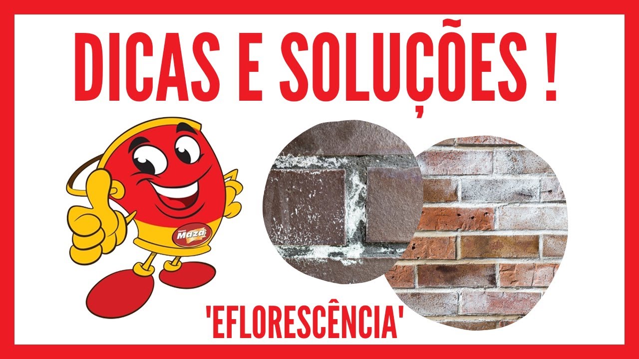 DICAS E SOLUÇÕES (Eflorescência)
