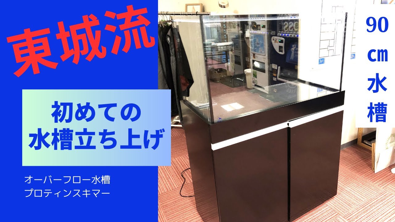 初めての水槽立ち上げ　90㎝海水オーバーフロー水槽