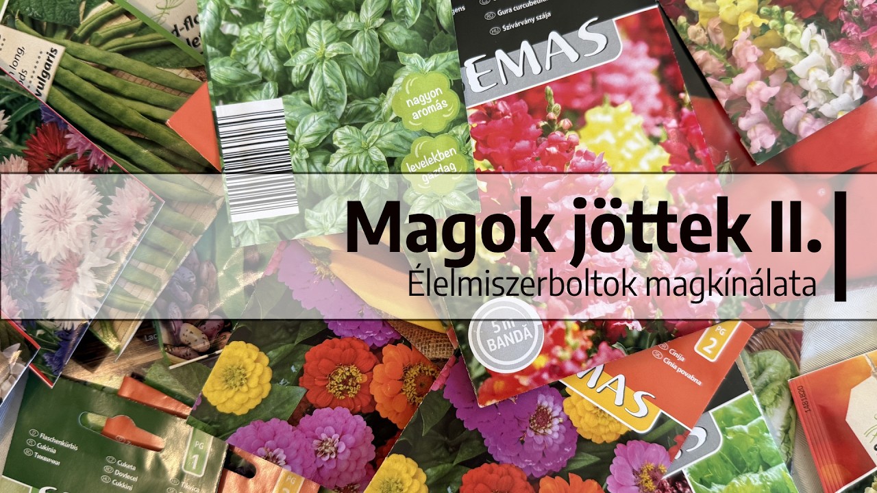 Ep. 410.: Magok jöttek II. - Élelmiszerboltok magkínálata