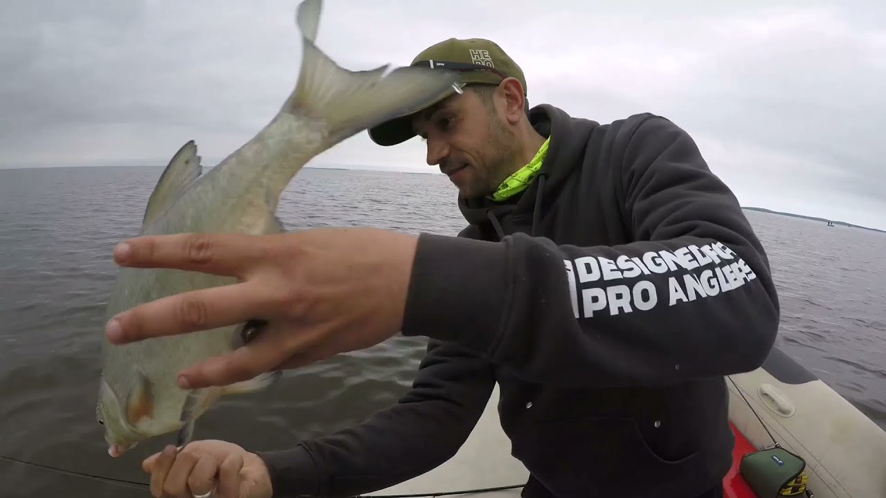 Kuršių marios su MEMEL COAST FISHING😎🤟🇱🇹🎣