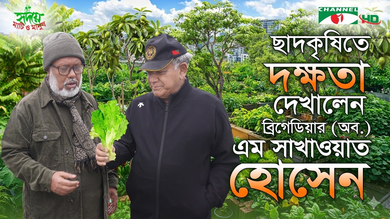 ছাদকৃষি চর্চায় দক্ষতা দেখালেন ব্রিগেডিয়ার (অব.) এম সাখাওয়াত হোসেন | পর্ব ৩৬৪ | Shykh Seraj |