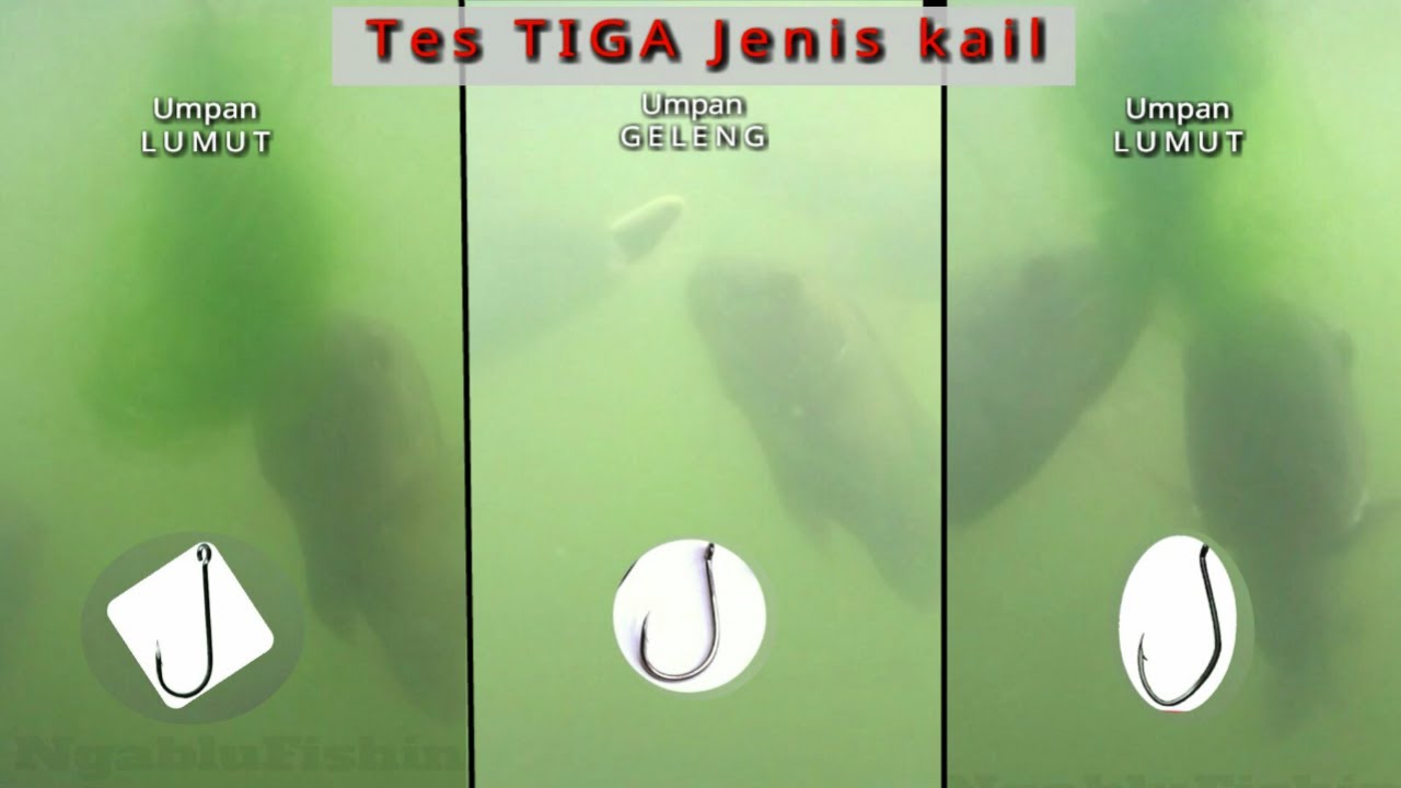 TES TIGA JENIS KAIL dengan umpan lumut dan geleng