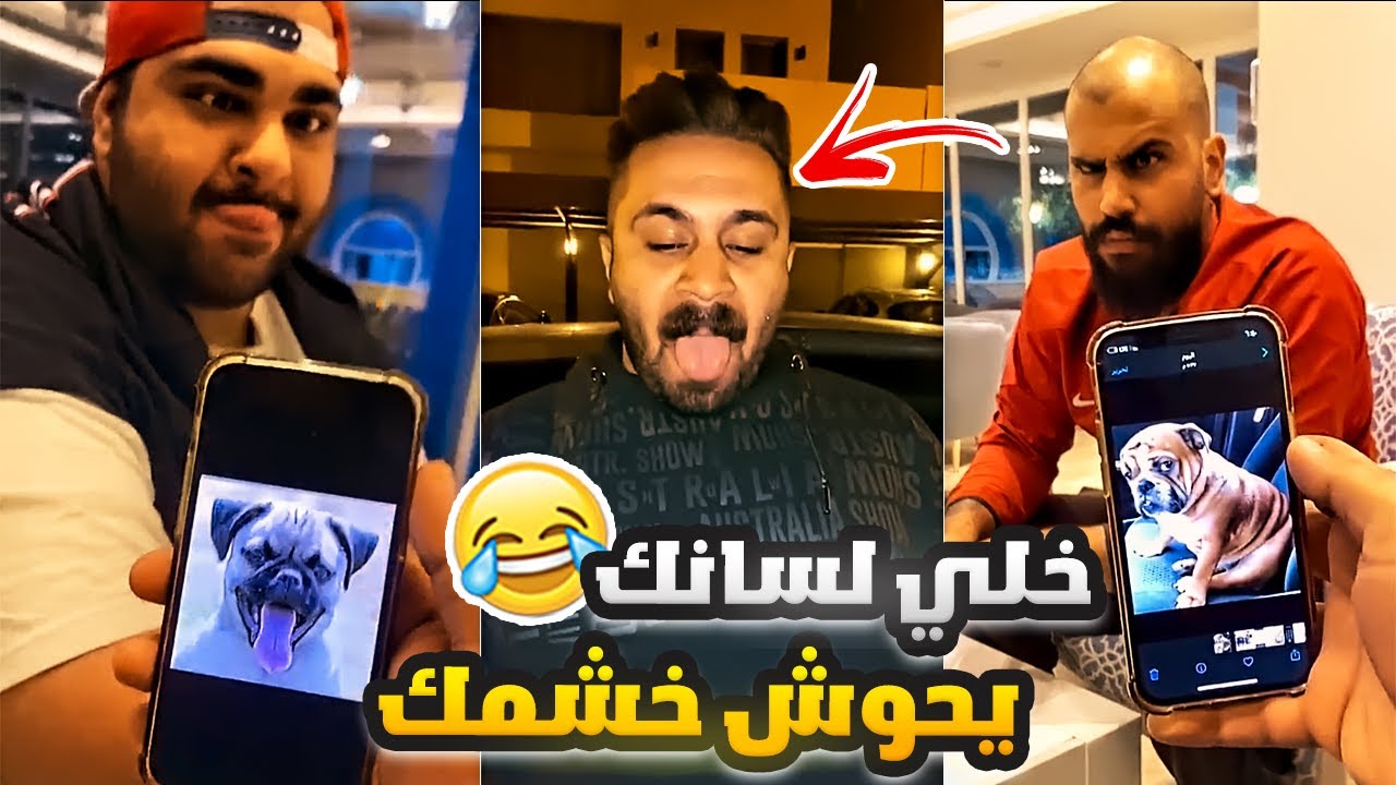 فهد العرادي سناب [ 479 ] خلي لسانك يحوش خشمك وتاخذ 1000 دينار 👃😂