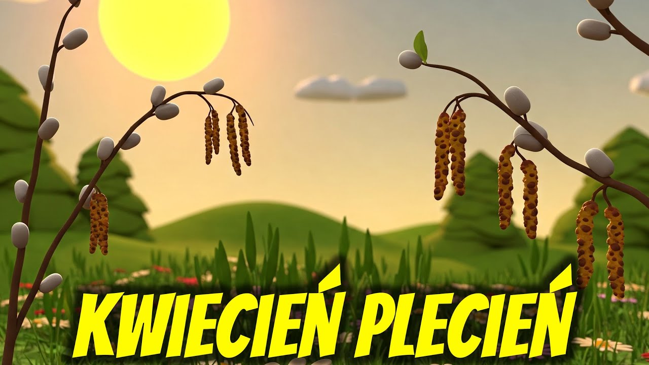KWIECIEŃ PLECIEŃ 🌞🌨️ - WESOŁA PIOSENKA DLA DZIECI - KOCIE MELODIE 😸🎶
